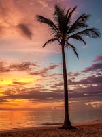 Punta Cana Dominican Republic 55
